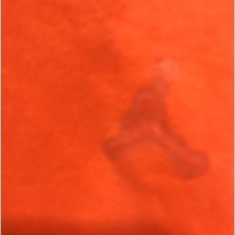 🦜Air Jordan Essentials Orange Hooded Sweatshirt